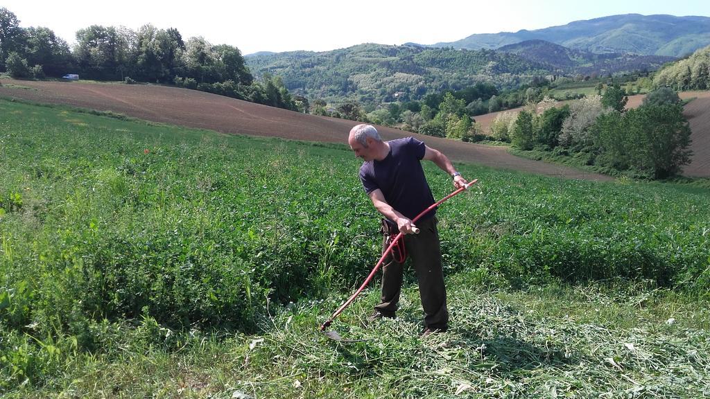 הוילה ויקיו Agriturismo Stazione Di Monta מראה חיצוני תמונה