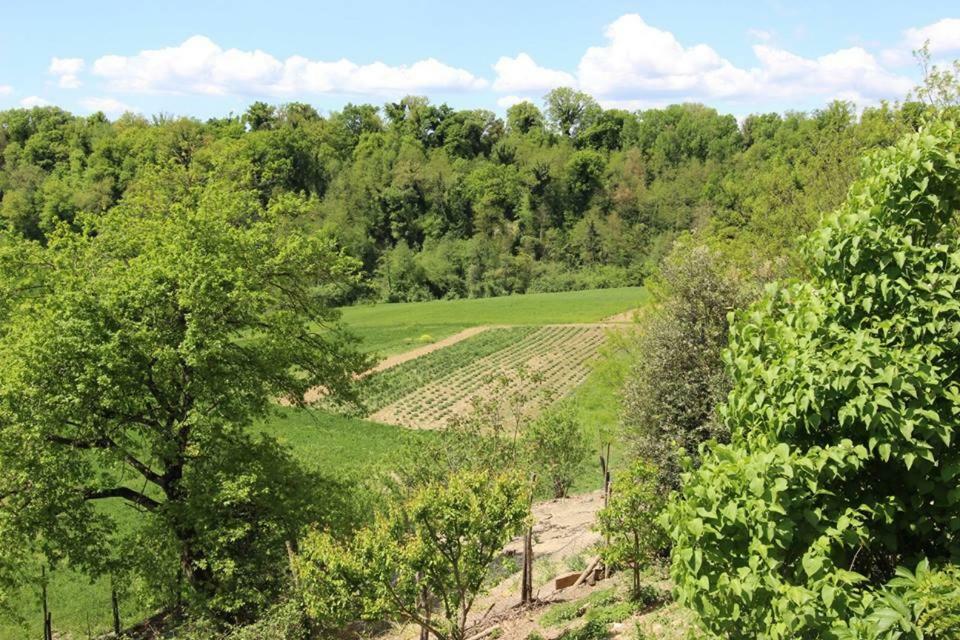 הוילה ויקיו Agriturismo Stazione Di Monta מראה חיצוני תמונה